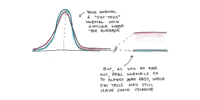 Normal distribution and fat-tailed distribution